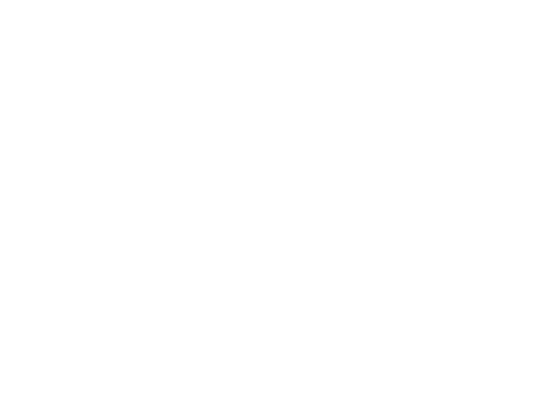 logo placeholder